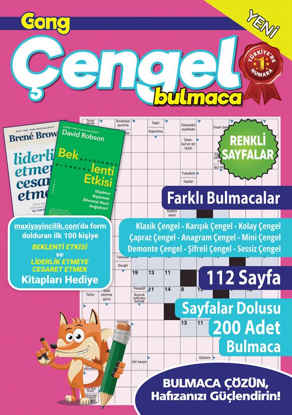 Gong Çengel Bulmaca 26